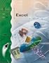 I-Series:  MS Excel 2002, Brief