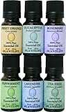 100% Pure Essential Oil Basic Sampler Set 6/10 ml (Lavender, Tea Tree, Peppermint, Eucalyptus, Rosemary and Sweet Orange)