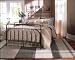 7pc Southern Textiles Goldenrod Leaves Beige Queen Bedding Bed in a Bag Comforter Set