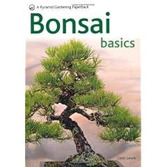 Bonsai Basics