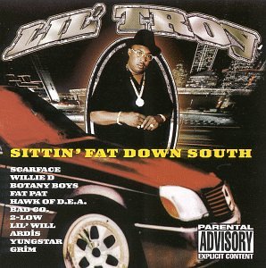 LIL TROY - Sittin Fat Down South - Zortam Music