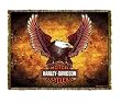 Harley-Davidson&reg; Motorcycles Eagle Throw Blanket