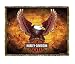 Harley-Davidson&reg; Motorcycles Eagle Throw Blanket