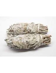 Health and Beauty: White Sage Smudge Stick 2-Pack - Tom's Incense