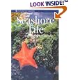 Seashore Life on Rocky Coasts (Monterey Bay Aquarium Natural History Series) by Judith Connor