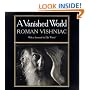 A Vanished World