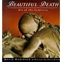 Beautiful Death: The Art of the Cemetery (Penguin Studio Books)