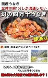 訳あり幻の四万十産うなぎ 短めにカットした部分80g 5袋入