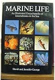Marine life : an illustrated encyclopedia of invertebrates in the sea