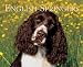 Book Just English Springer Spaniels