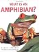 What is an Amphibian?