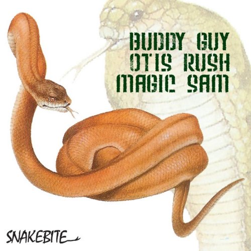 Snakebite [IMPORT] Buddy Guy
