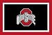 Ohio State Buckeyes 3' x 5' Small Top View Area Rug