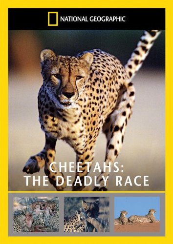 CHEETAHS DEADLY RACE DVD