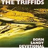 Born Sandy Devotional