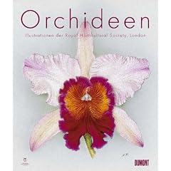 Orchideen