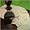 Caciotta Al Tartufo - 1 x 1.0 lb