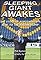 Sleeping Giant Awakes: The Story of Portsmouth's Rise to the Premiership