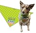 Stonehouse Collection Baby Sister Dog Bandana - Med to Large Dogs - Sweet Baby Sister - Great Dog Gift Idea
