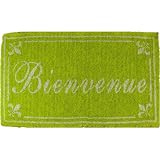 Bienvenue Kiwi Green French Heavy Coir Doormat, 28 by17 Inches by KTF