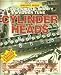 How to Build, Modify & Power Tune Cylinder Heads (Speedpro Series)