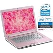 Sony VAIO VGN-CR507E/PC Limited Edition Breast Cancer Awareness 14.1" Laptop (1.86GHz Intel Pentium Dual-Core T2390 Processor, 3 GB RAM, 160 GB Hard Drive, Vista Premium) Sony VAIO VGN-CR507E/PC Limited Edition Breast Cancer Awareness 14.1" Laptop (1.86GHz Intel Pentium Dual-Core T2390 Processor, 3 GB RAM, 160 GB Hard Drive, Vista Premium)