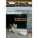 Stadtf�chse: Ein Wildtier erobert den Siedlungsraumvon "Sandra Gloor"