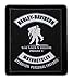 Harley-Davidson Wounded Warrior Project Embroidered Patch, 2.5 x 3 Inch EMWWP1