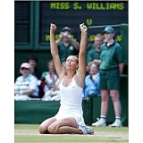 Maria Sharapova 8x10 Photo - Kneeling