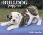 Just Bulldog Puppies 2008 Calendar