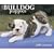 Just Bulldog Puppies 2008 Calendar