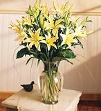 Lilies - 10 Stems Arranged In A Vase (Asiatic)