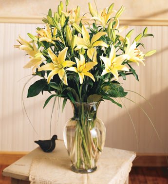 Lilies - 10 Stems Arranged In A Vase (Asiatic)