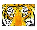 Bengal In Wait Animals Giclee Poster Print by Lori White, 10x8