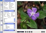 SureThing Photo Plus Software