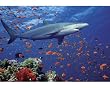 MELISSA & DOUG 100 PC SHARK JIGSAW PUZZLE