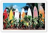 Old Surfboards Never Die, Maui, Hawaii by Bernard Fickert - Hawaiian Art Poster Print, 12" X 18" Old Surfboards Never Die, Maui, Hawaii by Bernard Fickert - Hawaiian Art Poster Print, 12" X 18"