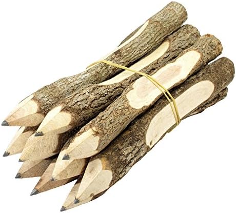 Branch &amp; Twig Graphite Pencils, Approximately 5 Inches Long, 20-Pack. (Free A Gift Wooden Key Chain Pencil Handmade)