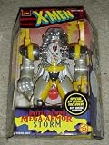 Marvel Comics: X-Men: Battle Action Mega-Armor Storm, Special 5: Storm Figure Included--Fits Inside Armor