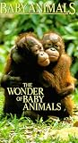Baby Animals: Wonder of Baby Animals