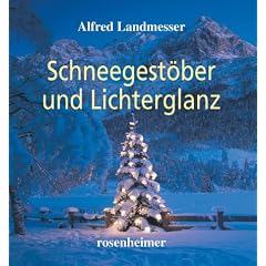 Schneegest�ber und Lichterglanz