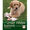 Unser Welpe kommt