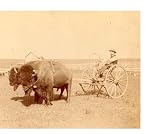 Not Buffalo Bill But Buffalo Jones: Three short, non-fiction stories of the West