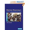 Driving Democracy: Do Power-Sharing Institutions Work?