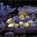 Leuchtsteine 'LIGHT STONE' mit Solarpanel - 12-teiliger Leuchtsatz mit Solarmodul und Solarleuchten f&uuml;r das geheimnisvolle Licht im Garten!