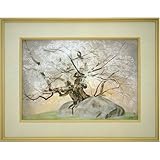 ��������E������g�u�Ί��N�v������i�z���j