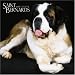 Saint Bernards 2006 Calendar