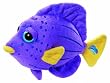 Sea Pals by Russ Purple Tang