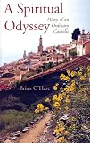 Review Columba Press  / A Spiritual Odyssey: Diary of an Ordinary Catholic
