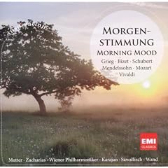 Morgenstimmung